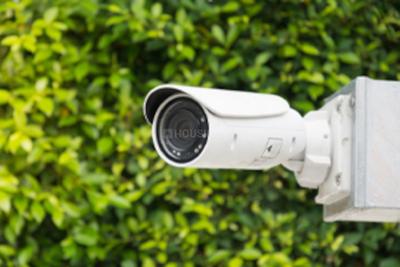 Nestcon Tara Others 1