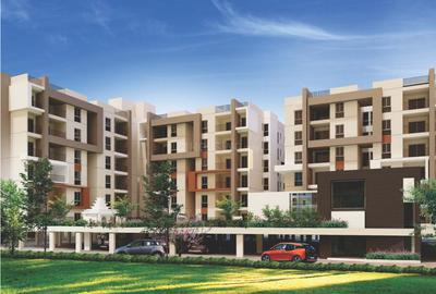 Avinash Woods Images for Project 1