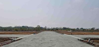 Project Images
