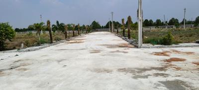 Project Image of 900.0 - 8964.0 Sq.ft Residential Plot Plot for buy in Hampton Palms