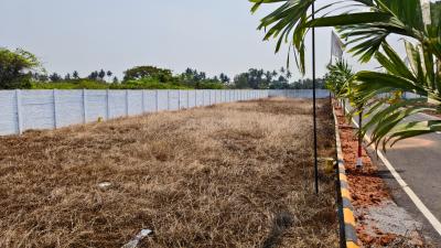 Project Image of 925.0 - 1695.0 Sq.ft Residential Plot Plot for buy in Accord Mahalakshmi Nagar