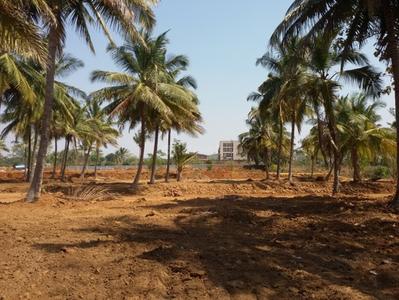Project Image of 1200.0 - 2400.0 Sq.ft Residential Plot Plot for buy in Ashoka Aarna