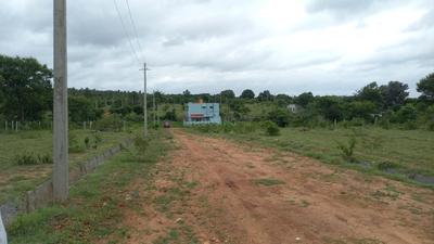 Project Image of 1200.0 - 2400.0 Sq.ft Residential Plot Plot for buy in BGS Enclave