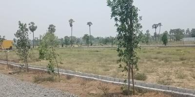 Project Image of 1314.0 - 4320.0 Sq.ft Residential Plot Plot for buy in Amaravati Sun City