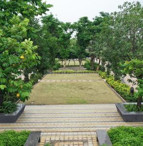 Project Image of 975.0 - 1800.0 Sq.ft Residential Plot Plot for buy in Sapphire Greens Phase II C
