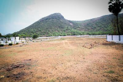 Project Image of 1404.0 - 4589.0 Sq.ft Residential Plot Plot for buy in Bhoomatha Sri Chakra Green Valley