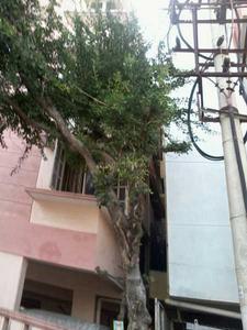 Project Image of 1160.0 - 1200.0 Sq.ft 2 BHK Apartment for buy in DS Max Sri Vari Enclave