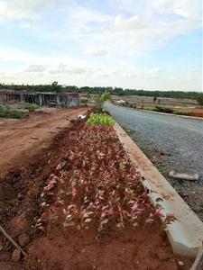 Project Image of 1200.0 - 3999.0 Sq.ft Residential Plot Plot for buy in Excel Oxygen