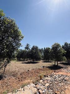 Project Image of 6000.0 - 12000.0 Sq.ft Residential Plot Plot for buy in Navile Farms 