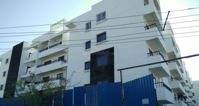 Terra Signature Square Elevation 2