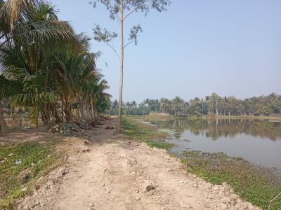 Project Image of 720.0 - 3600.0 Sq.ft Residential Plot Plot for buy in Lake View Township