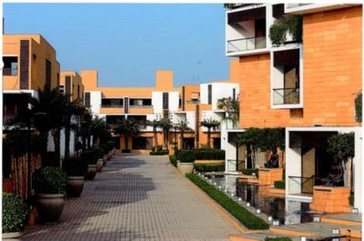 Project Images