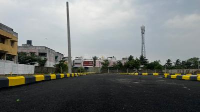 Project Image of 891.0 - 1384.0 Sq.ft Residential Plot Plot for buy in Eden ENK Garden Extension