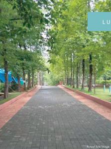 Project Image of 4000.0 - 6500.0 Sq.ft Residential Plot Plot for buy in Rivergate Aranya