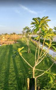 Project Image of 900.08 - 2395.72 Sq.ft Residential Plot Plot for buy in Riyasat Riyasat Vatika Phase 2