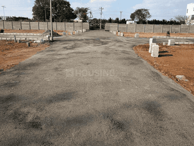 Project Images