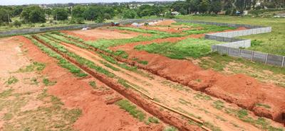 Project Image of 1200.0 - 2400.0 Sq.ft Residential Plot Plot for buy in Nakshatri Madhura Meadows