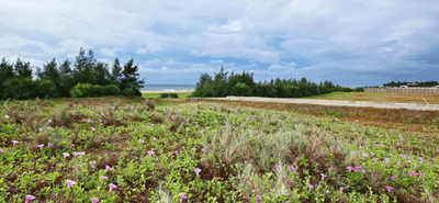 Project Image of 4248.0 - 39321.0 Sq.ft Residential Plot Plot for buy in Radiance Marina