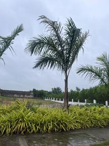 Project Image of 1323.0 - 4500.0 Sq.ft Residential Plot Plot for buy in The Deccan Pearl City