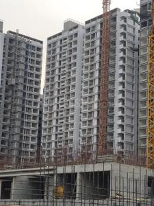Project Image of 479.0 - 1237.0 Sq.ft 1 BHK Apartment for buy in Austin Lush Residences