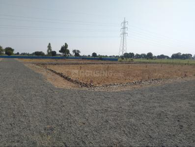Colony Plot 1