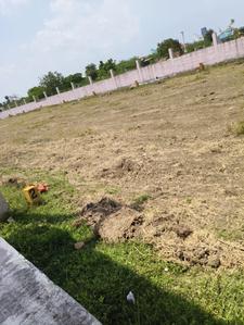 Project Image of 1181.0 - 1747.0 Sq.ft Residential Plot Plot for buy in Sri Indhra Nagar