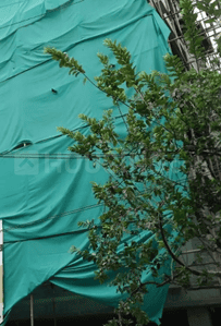 Project Image of 1072.0 - 1640.0 Sq.ft 2 BHK Apartment for buy in JKB Ganpath