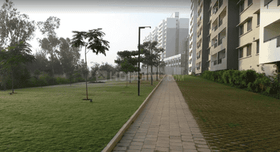 Project Images