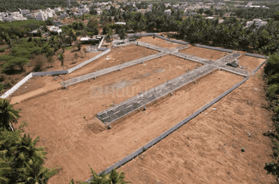 Project Images