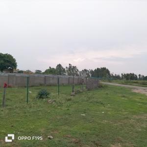 Project Image of 1000.0 - 1500.0 Sq.ft Residential Plot Plot for buy in Semra City