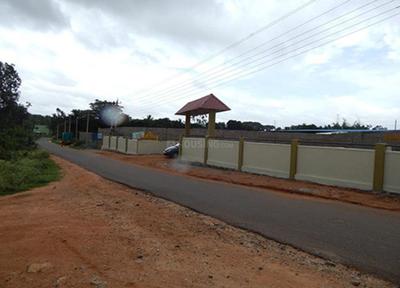 Project Image of 1200.0 - 2400.0 Sq.ft Residential Plot Plot for buy in Enrich Futuristic Enclave