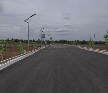 Project Images