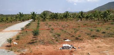 Project Image of 2700.02 - 14399.85 Sq.ft Residential Plot Plot for buy in Charan Farmlands