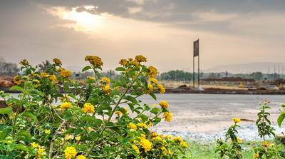 Project Image of 1200.0 - 5000.0 Sq.ft Residential Plot Plot for buy in Concorde Opus One