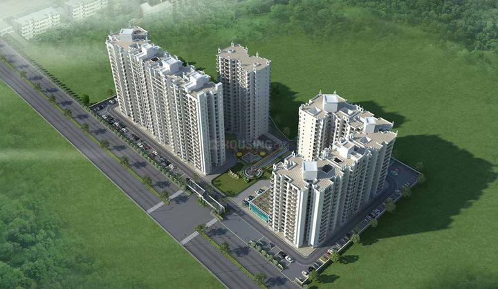 Sethi Max Royal - Image 3