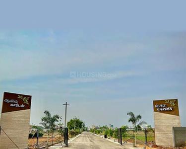 Project Image of 527.08 - 3415.1 Sq.ft Residential Plot Plot for buy in Tatva Olive Garden