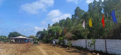 Project Image of 1474.66 - 9213.91 Sq.ft Residential Plot Plot for buy in Alekhya Amara County
