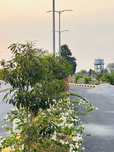 Project Image of 1836.0 - 2700.0 Sq.ft Residential Plot Plot for buy in Pavan Green West 1