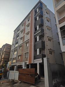 Sankar Elite Elevation 1
