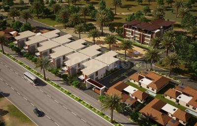 Divya Sree Valley Of The Wind valley_1.jpg 1