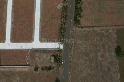 Project Images