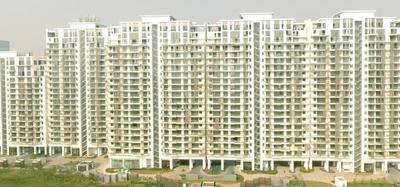 Project Image of 0.0 - 3980.0 Sq.ft 3 BHK Apartment for buy in M3M Polo Suites