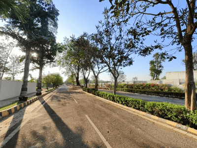 Project Image of 1200.0 - 2400.0 Sq.ft Residential Plot Plot for buy in Sattva Pipal Tree