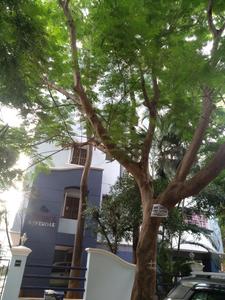 Project Image of 750.0 - 1200.0 Sq.ft 2 BHK Apartment for buy in Navins Navin Silver Oak