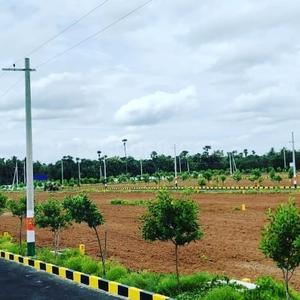 Project Image of 1080.0 - 9000.0 Sq.ft Residential Plot Plot for buy in Siri Vishnupuram 2