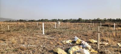 Project Image of 1089.0 - 3267.0 Sq.ft Residential Plot Plot for buy in High Vision Plots in Ranjanpada
