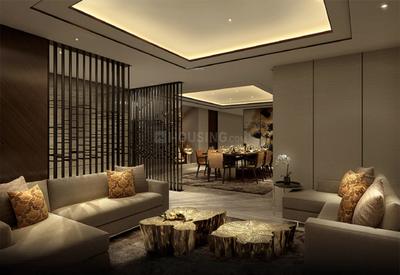 Project Images
