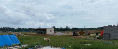 Project Image of 0.0 - 1500.0 Sq.ft Residential Plot Plot for buy in Kuteera