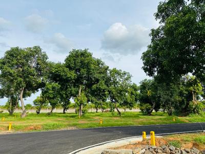 Project Image of 650.0 - 1400.0 Sq.ft Residential Plot Plot for buy in Shanbagam Kundapuram Phase III