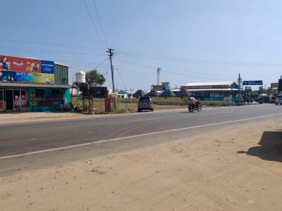 Project Image of 0.0 - 436.0 Sq.ft Residential Plot Plot for buy in Royal AV Avenue